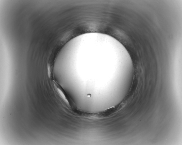 X0000084600075200703161826