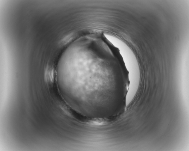 X0000084600076200703161826