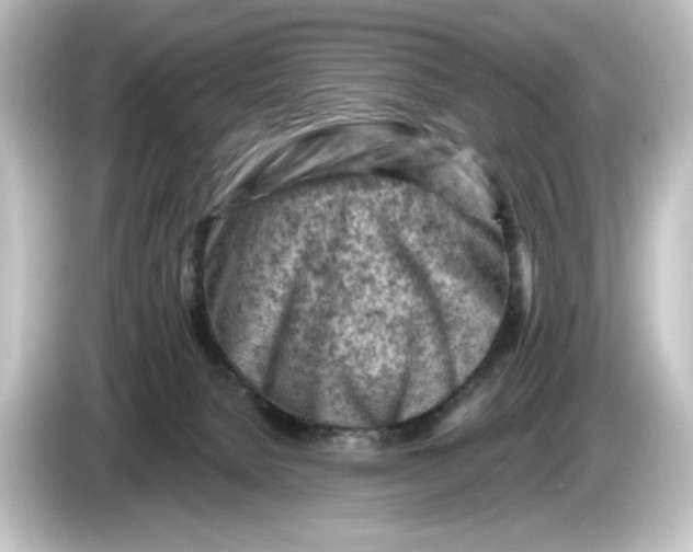 X0000084600080200703161826