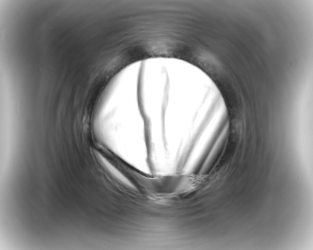 X0000084600081200703161826