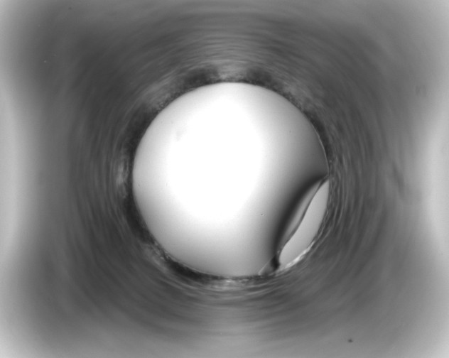 X0000084600082200703161826