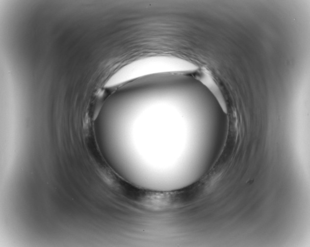 X0000084600084200703161826