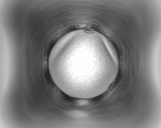 X0000084600085200703161826