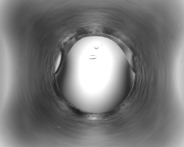 X0000084600088200703161826