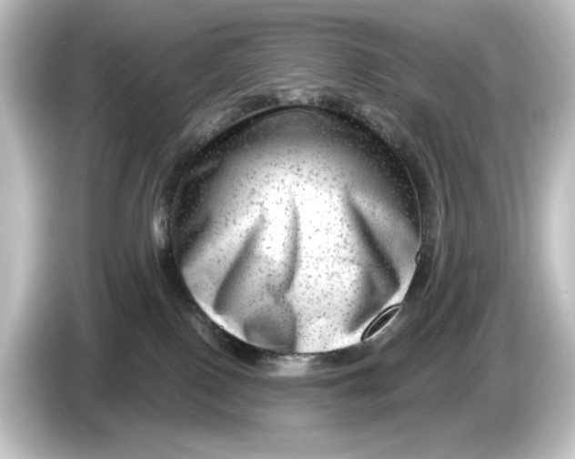 X0000084600090200703161826