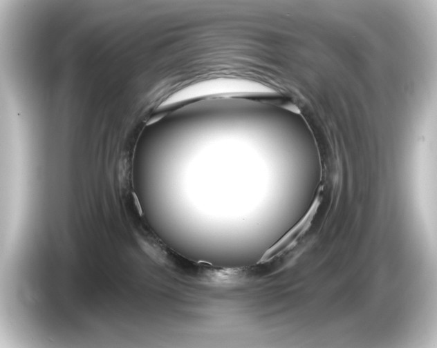 X0000084600092200703161826