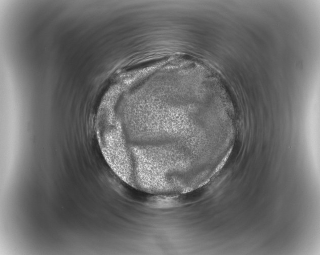 X0000084600093200703161826