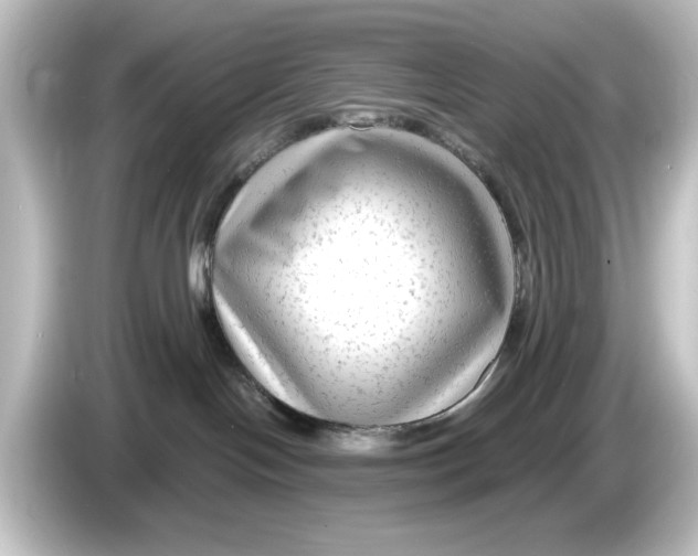 X0000084600094200703161826