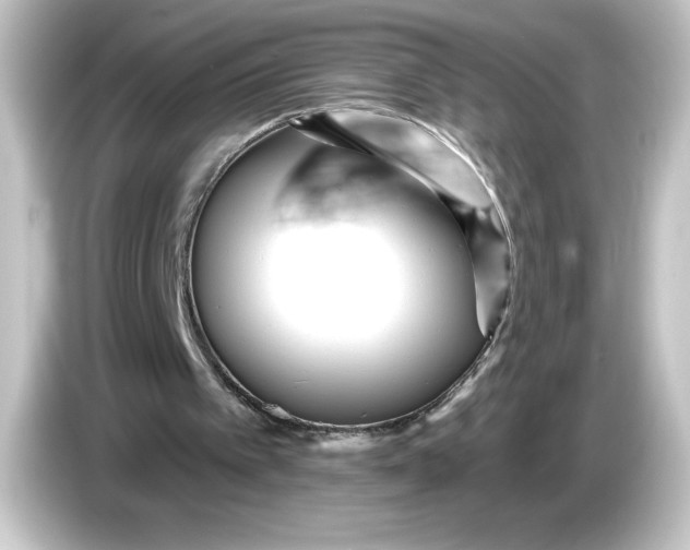 X0000084600097200703161826