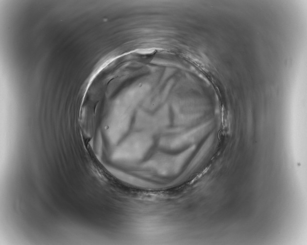 X0000084600099200703161826