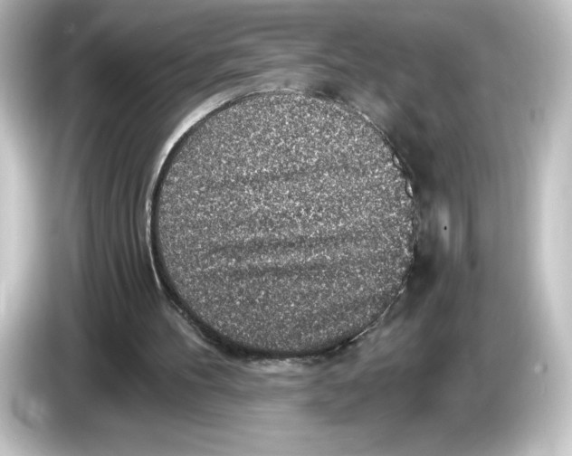 X0000084600100200703161826