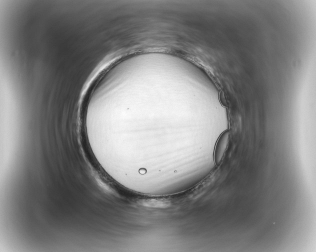 X0000084600102200703161825