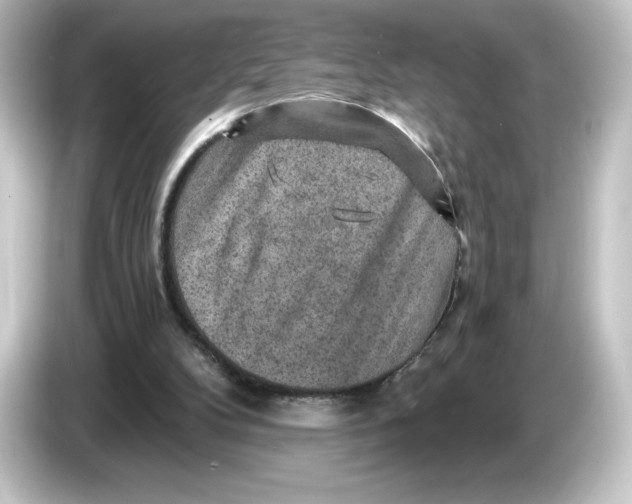 X0000084600104200703161825