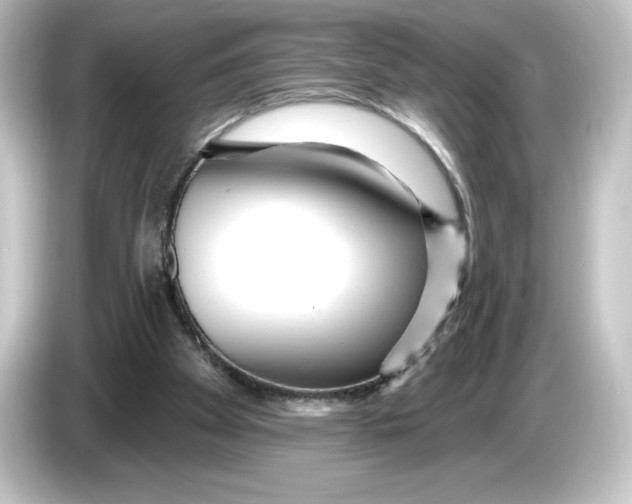 X0000084600105200703161825