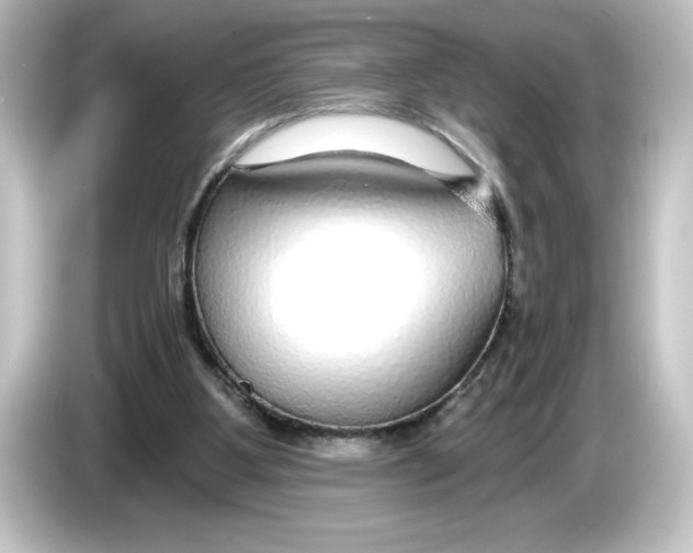 X0000084600107200703161825