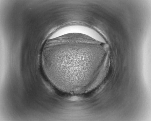 X0000084600111200703161825