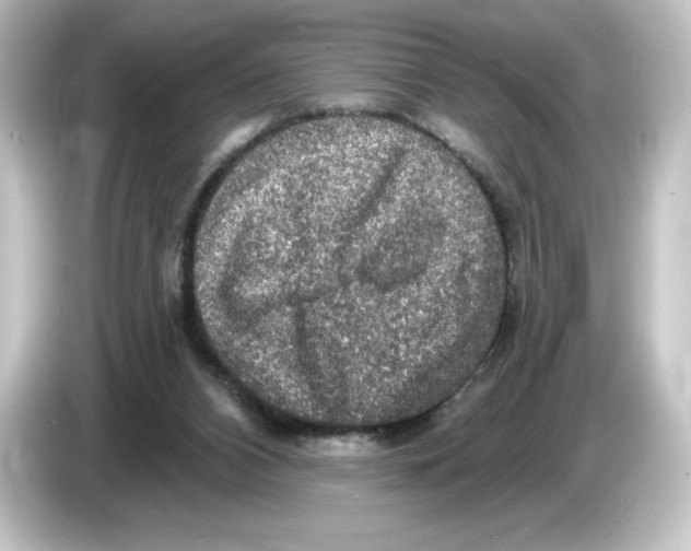 X0000084600112200703161825