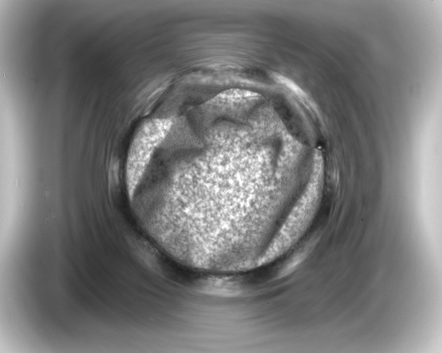 X0000084600117200703161825