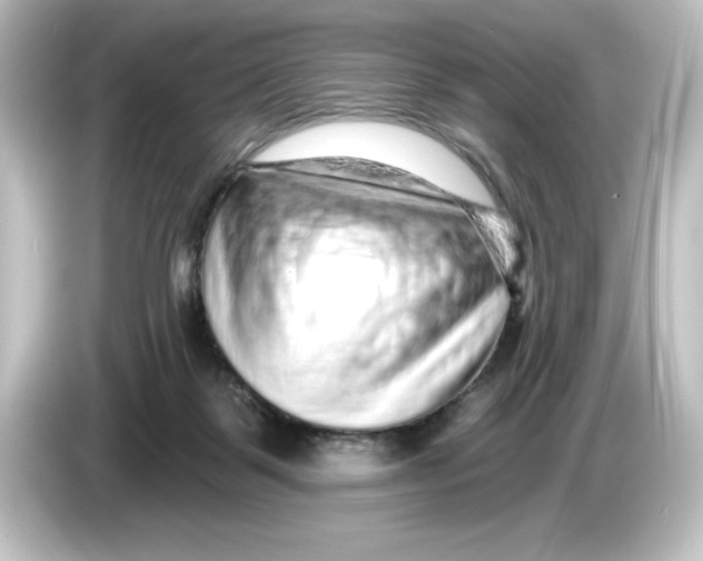 X0000084600123200703161825