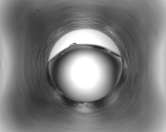 X0000084600125200703161825