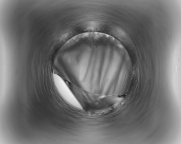 X0000084600127200703161825