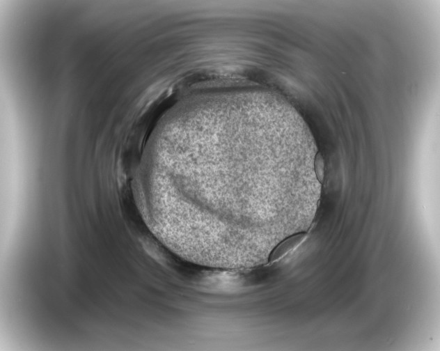 X0000084600140200703161825