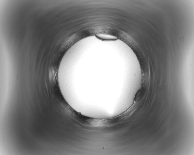 X0000084600142200703161825