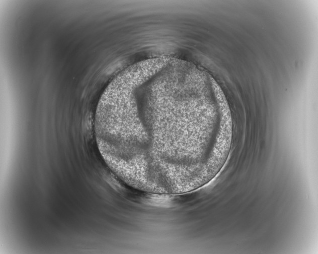 X0000084600144200703161825