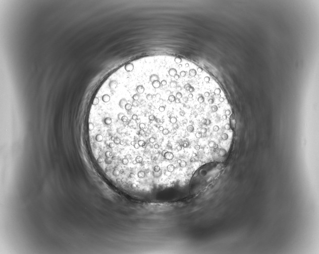 X0000084600145200703161824