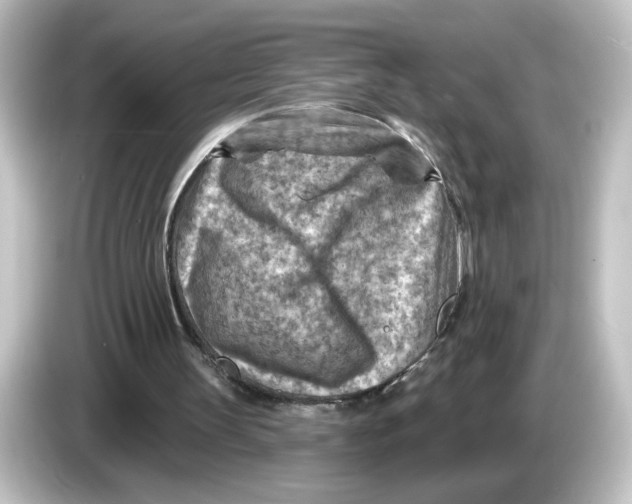 X0000084600147200703161824