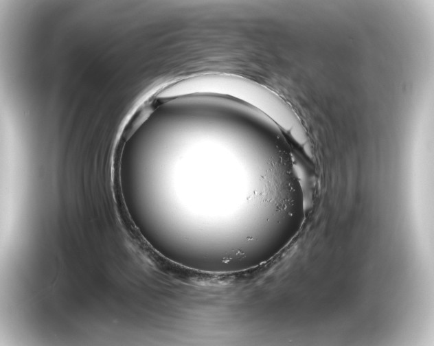 X0000084600148200703161824