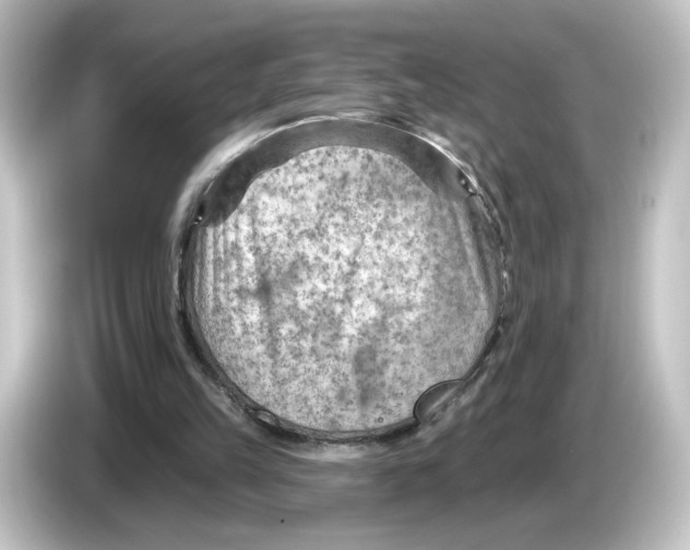 X0000084600149200703161824