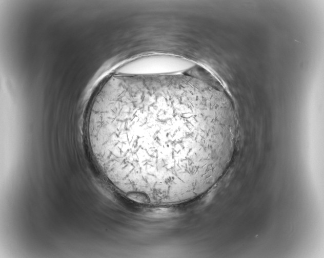 X0000084600151200703161825