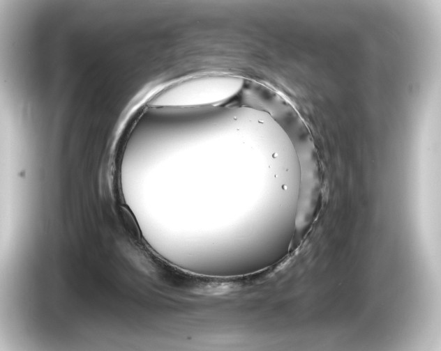 X0000084600152200703161825