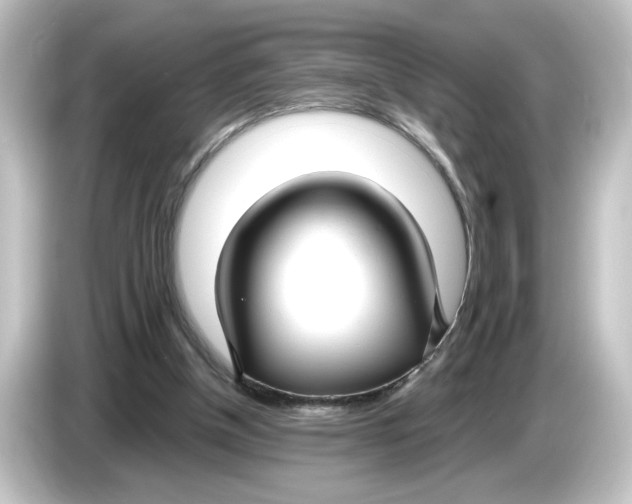 X0000084600154200703161825