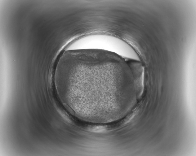 X0000084600156200703161825