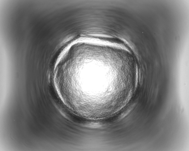 X0000084600157200703161825