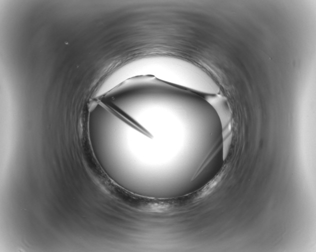 X0000084600158200703161825