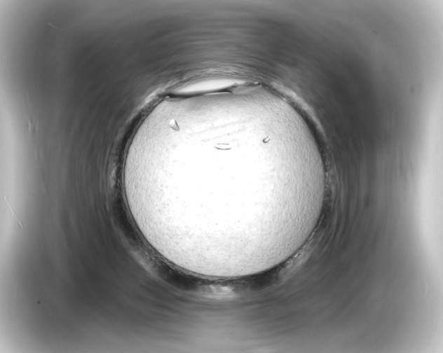 X0000084600159200703161825