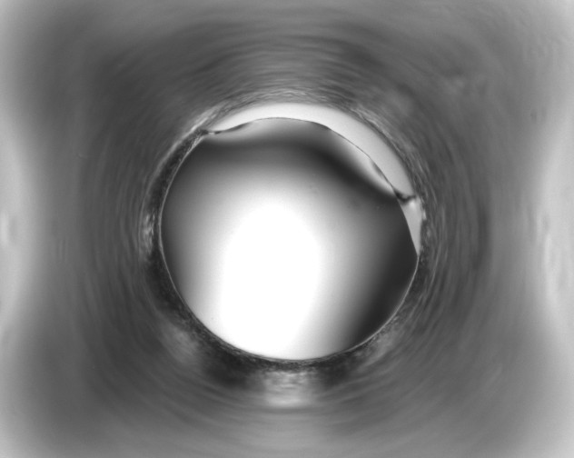 X0000084600160200703161825