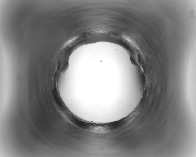 X0000084600163200703161825