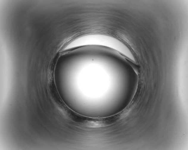 X0000084600164200703161825