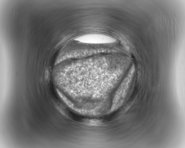 X0000084600165200703161825