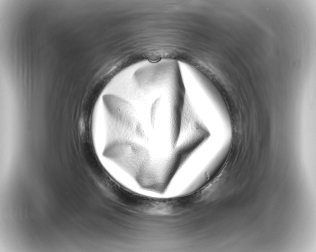 X0000084600166200703161825