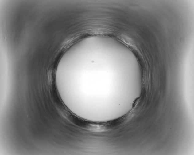 X0000084600167200703161825