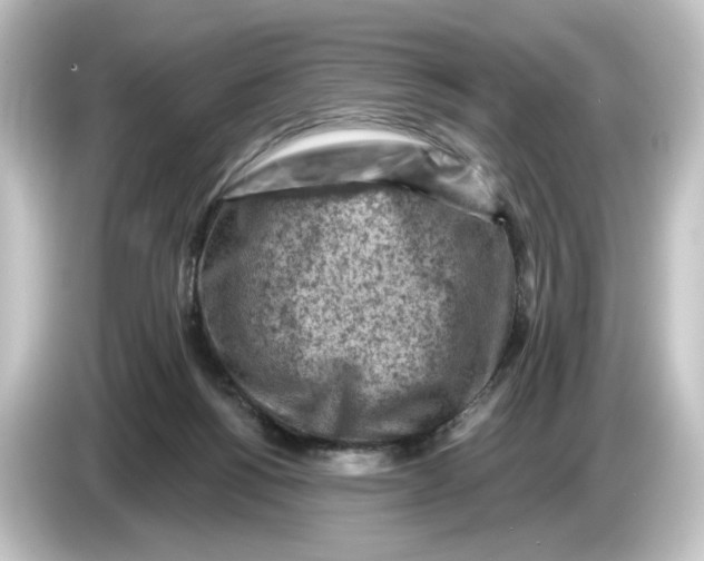 X0000084600168200703161825