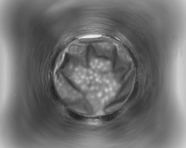 X0000084600169200703161825