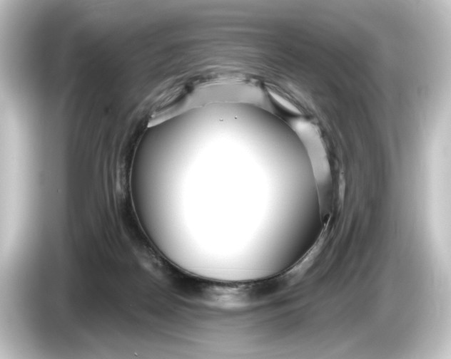 X0000084600170200703161825