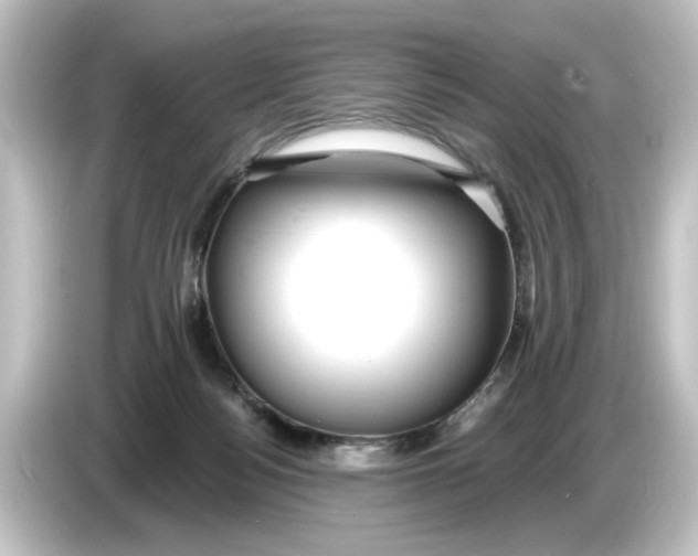 X0000084600172200703161825