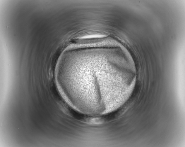 X0000084600173200703161825